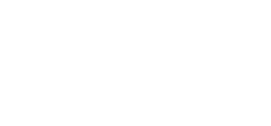logo-fmgs